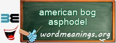 WordMeaning blackboard for american bog asphodel